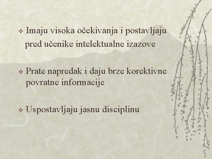 Imaju visoka očekivanja i postavljaju pred učenike intelektualne izazove v v Prate napredak i Imaju visoka očekivanja i postavljaju pred učenike intelektualne izazove v v Prate napredak i