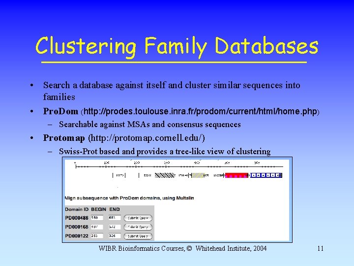 Clustering Family Databases • Search a database against itself and cluster similar sequences into Clustering Family Databases • Search a database against itself and cluster similar sequences into
