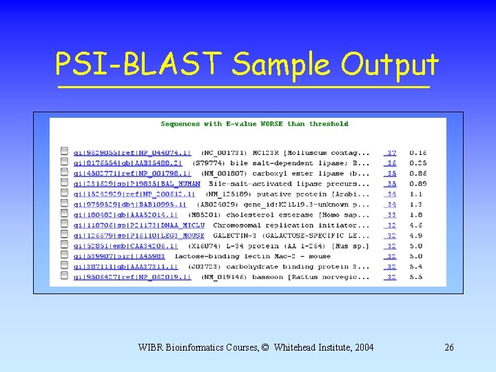PSI-BLAST Sample Output WIBR Bioinformatics Courses, © Whitehead Institute, 2004 26 PSI-BLAST Sample Output WIBR Bioinformatics Courses, © Whitehead Institute, 2004 26