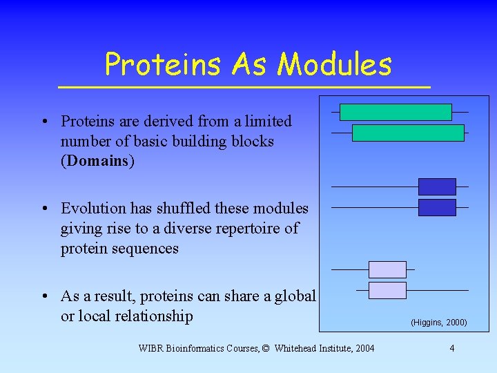 Proteins As Modules • Proteins are derived from a limited number of basic building Proteins As Modules • Proteins are derived from a limited number of basic building