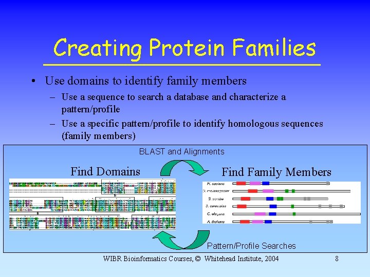 Creating Protein Families • Use domains to identify family members – Use a sequence Creating Protein Families • Use domains to identify family members – Use a sequence