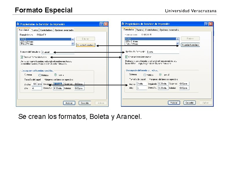 Formato Especial Se crean los formatos, Boleta y Arancel. Formato Especial Se crean los formatos, Boleta y Arancel.