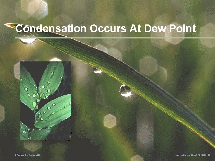 Condensation Occurs At Dew Point © American Standard Inc. 1999 Air Conditioning Clinic TRG-TRC