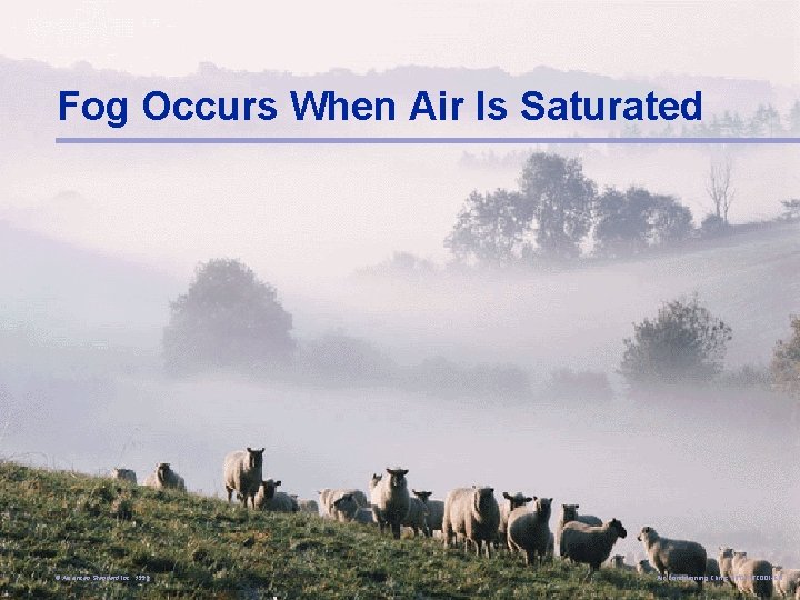 Fog Occurs When Air Is Saturated © American Standard Inc. 1999 Air Conditioning Clinic