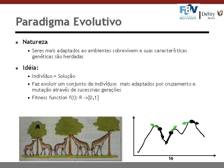 Paradigma Evolutivo n Natureza • Seres mais adaptados ao ambientes sobrevivem e suas características