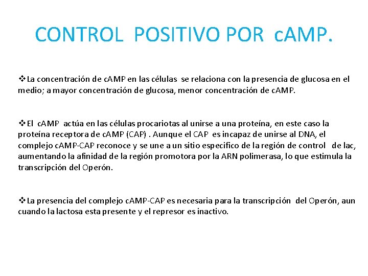 CONTROL POSITIVO POR c. AMP. v. La concentración de c. AMP en las células