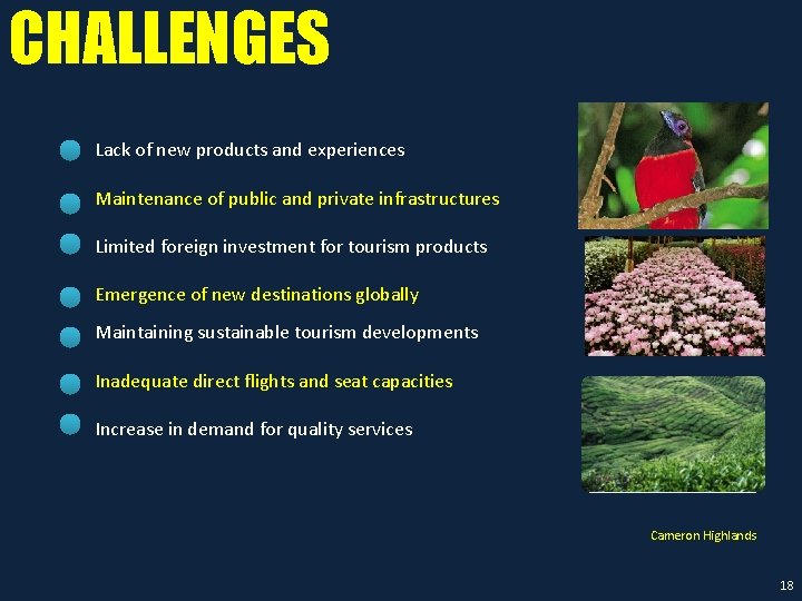 CHALLENGES Lack of new products and experiences Maintenance of public and private infrastructures Limited