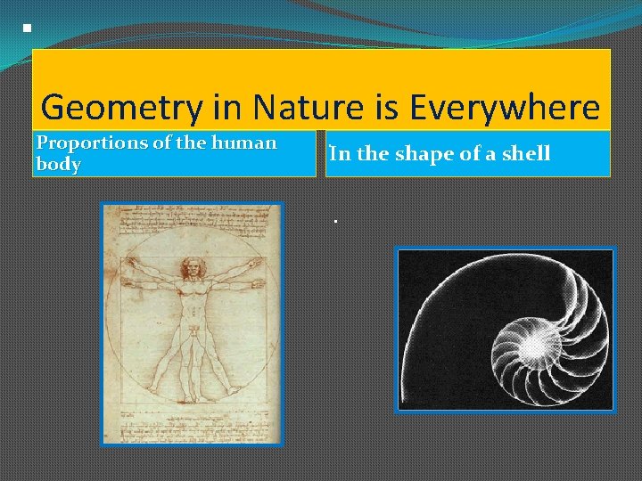 . Geometry in Nature is Everywhere Proportions of the human body . In the