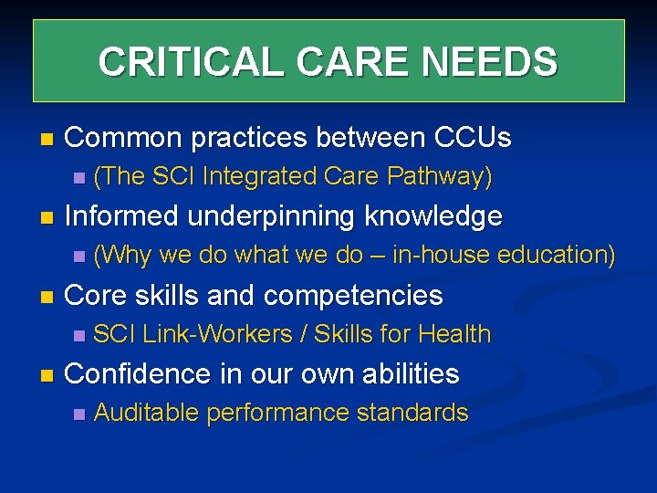 CRITICAL CARE NEEDS n Common practices between CCUs n n Informed underpinning knowledge n CRITICAL CARE NEEDS n Common practices between CCUs n n Informed underpinning knowledge n