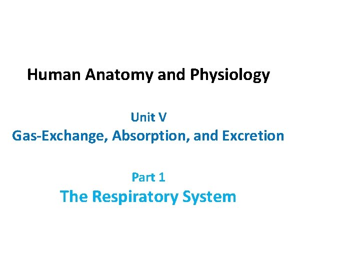 Human Anatomy and Physiology Unit V Gas-Exchange, Absorption, and Excretion Part 1 The Respiratory