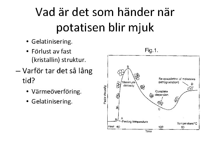 Vad är det som händer när potatisen blir mjuk • Gelatinisering. • Förlust av