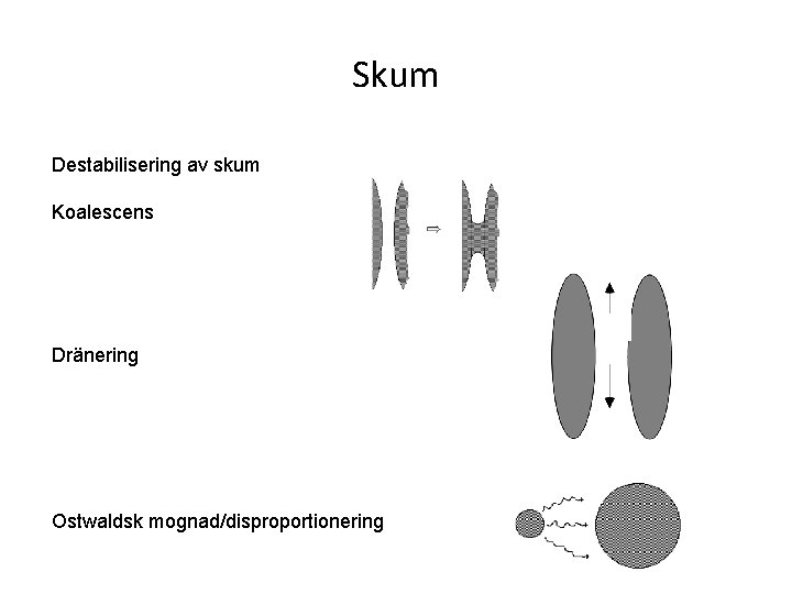 Skum Destabilisering av skum Koalescens Dränering Ostwaldsk mognad/disproportionering 