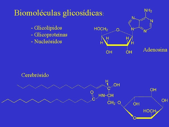 Biomoléculas glicosídicas: - Glicolípidos - Glicoproteínas - Nucleósidos Adenosina Cerebrósido 