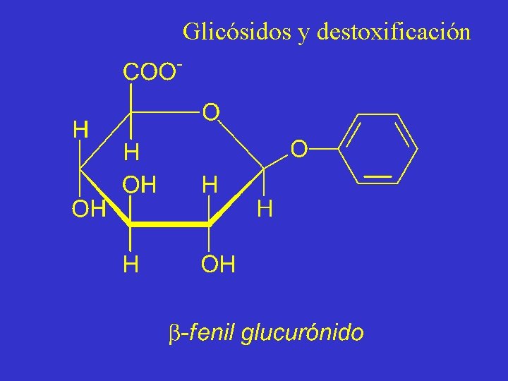 Glicósidos y destoxificación 