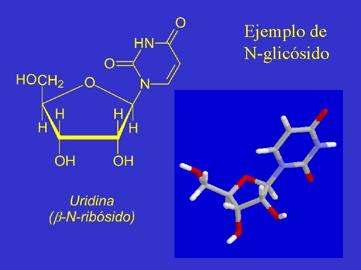 Ejemplo de N-glicósido 