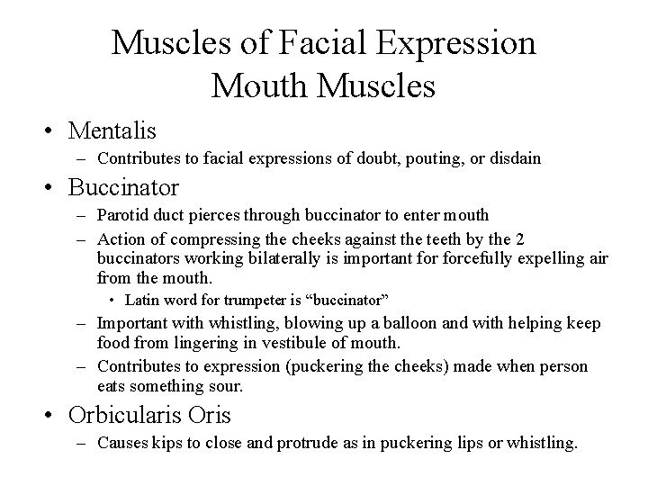 Muscles of Facial Expression Mouth Muscles • Mentalis – Contributes to facial expressions of