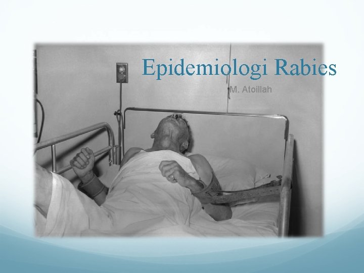 Epidemiologi Rabies M. Atoillah 