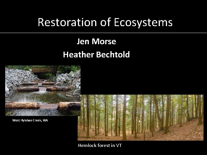 Restoration of Ecosystems Jen Morse Heather Bechtold West Hylebos Creek, WA Hemlock forest in