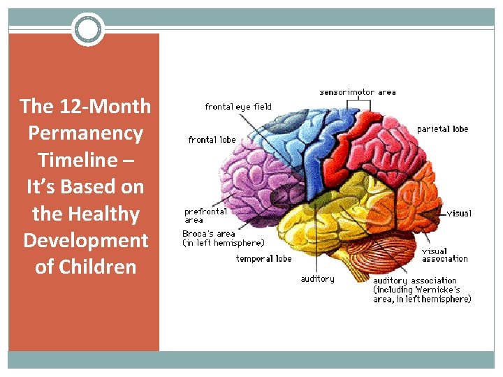 The 12 -Month Permanency Timeline – It’s Based on the Healthy Development of Children