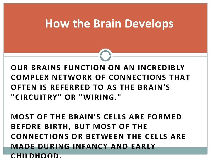 How the Brain Develops OUR BRAINS FUNCTION ON AN INCREDIBLY COMPLEX NETWORK OF CONNECTIONS