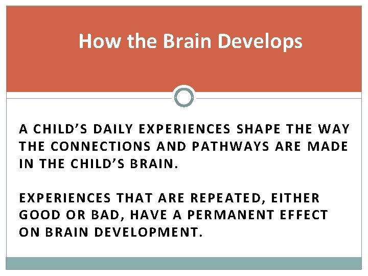 How the Brain Develops A CHILD’S DAILY EXPERIENCES SHAPE THE WAY THE CONNECTIONS AND