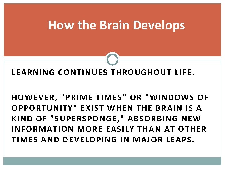 How the Brain Develops LEARNING CONTINUES THROUGHOUT LIFE. HOWEVER, "PRIME TIMES" OR "WINDOWS OF