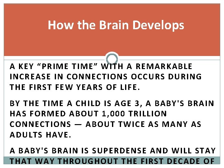 How the Brain Develops A KEY “PRIME TIME” WITH A REMARKABLE INCREASE IN CONNECTIONS