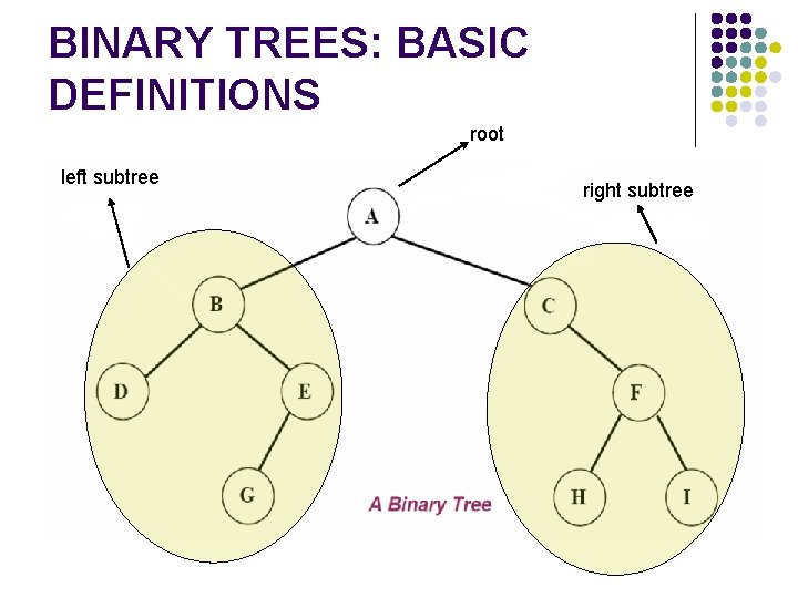 BINARY TREES: BASIC DEFINITIONS root left subtree right subtree 