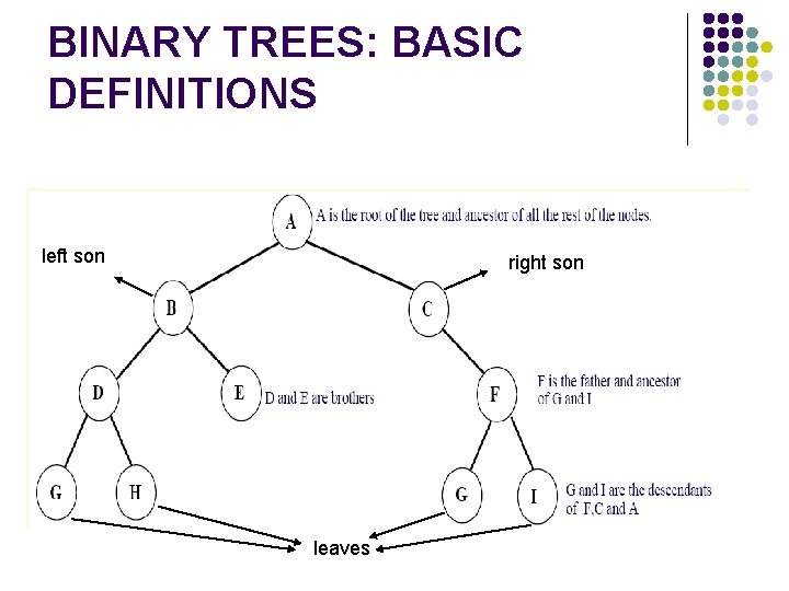 BINARY TREES: BASIC DEFINITIONS left son right son leaves 