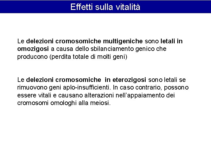 Effetti sulla vitalità Le delezioni cromosomiche multigeniche sono letali in omozigosi a causa dello Effetti sulla vitalità Le delezioni cromosomiche multigeniche sono letali in omozigosi a causa dello