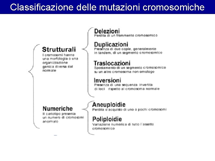 Classificazione delle mutazioni cromosomiche Classificazione delle mutazioni cromosomiche