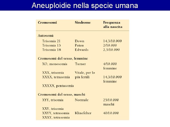 Aneuploidie nella specie umana Aneuploidie nella specie umana