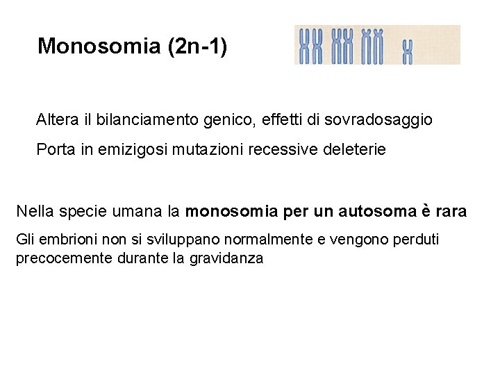 Monosomia (2 n-1) Altera il bilanciamento genico, effetti di sovradosaggio Porta in emizigosi mutazioni Monosomia (2 n-1) Altera il bilanciamento genico, effetti di sovradosaggio Porta in emizigosi mutazioni