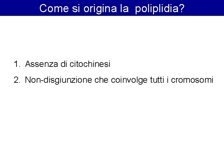 Come si origina la poliplidia? 1. Assenza di citochinesi 2. Non-disgiunzione che coinvolge tutti Come si origina la poliplidia? 1. Assenza di citochinesi 2. Non-disgiunzione che coinvolge tutti