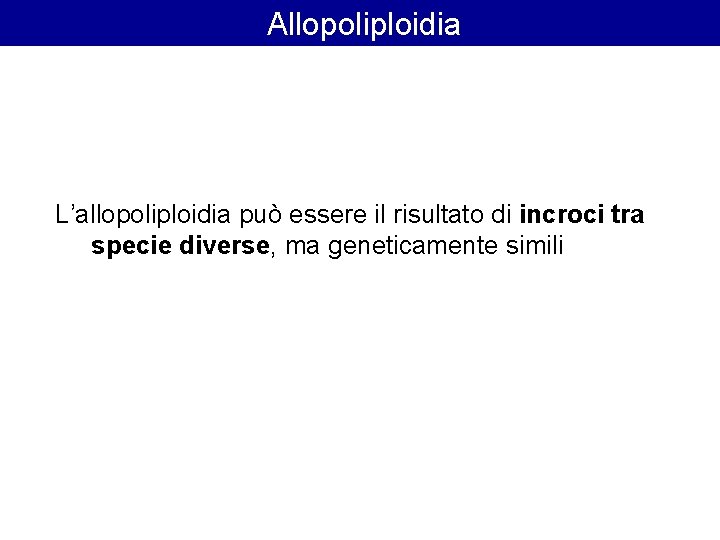 Allopoliploidia L’allopoliploidia può essere il risultato di incroci tra specie diverse, ma geneticamente Allopoliploidia L’allopoliploidia può essere il risultato di incroci tra specie diverse, ma geneticamente