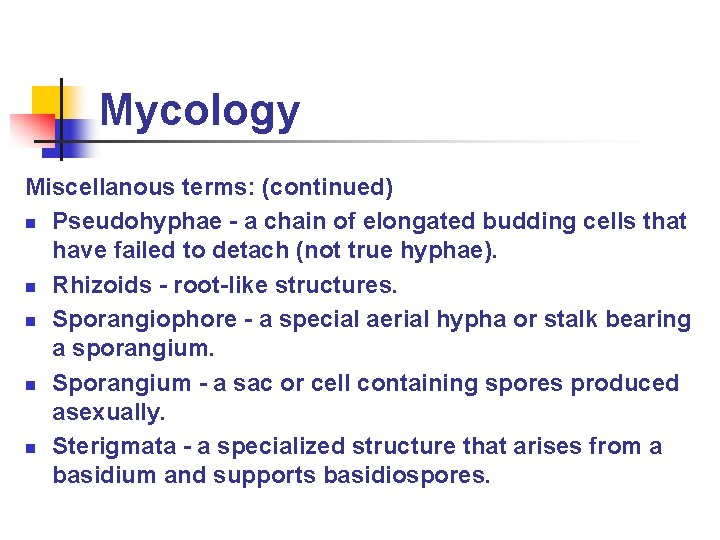 Mycology Miscellanous terms: (continued) n Pseudohyphae - a chain of elongated budding cells that