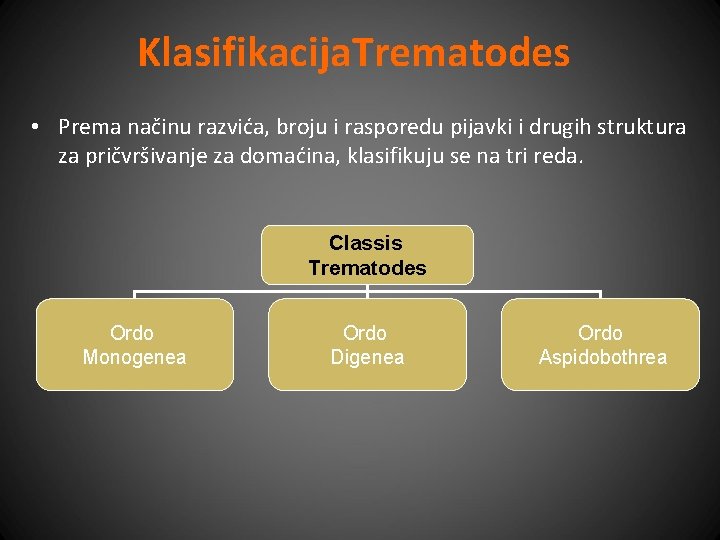 Klasifikacija. Trematodes • Prema načinu razvića, broju i rasporedu pijavki i drugih struktura za