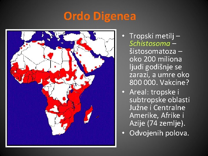 Ordo Digenea • Tropski metilj – Schistosoma – šistosomatoza – oko 200 miliona ljudi