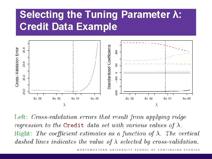 Selecting the Tuning Parameter λ: Credit Data Example 