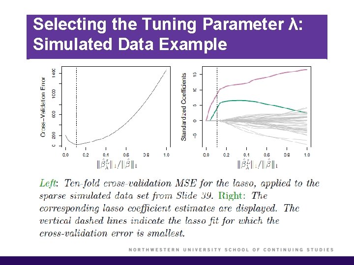 Selecting the Tuning Parameter λ: Simulated Data Example 