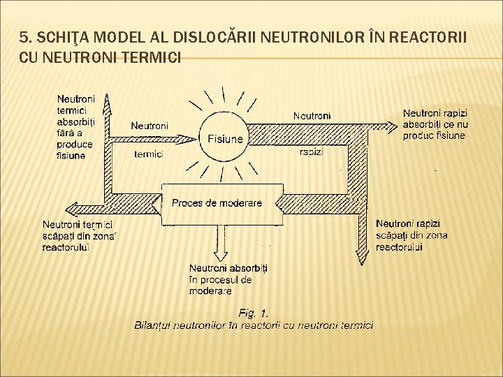 5. SCHIŢA MODEL AL DISLOCĂRII NEUTRONILOR ÎN REACTORII CU NEUTRONI TERMICI 