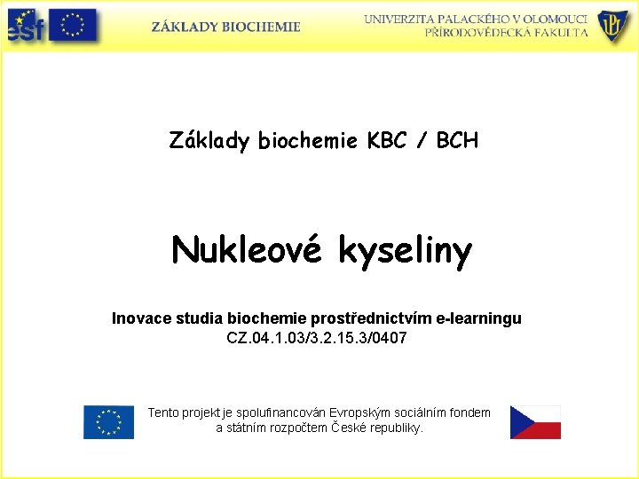Základy biochemie KBC / BCH Nukleové kyseliny Inovace studia biochemie prostřednictvím e-learningu CZ. 04.