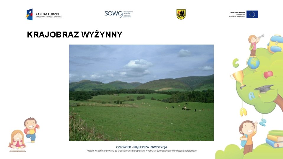 KRAJOBRAZ WYŻYNNY 