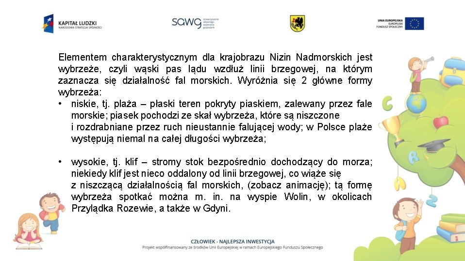 Elementem charakterystycznym dla krajobrazu Nizin Nadmorskich jest wybrzeże, czyli wąski pas lądu wzdłuż linii