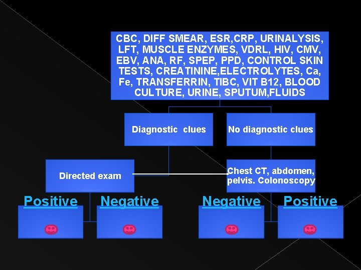 CBC, DIFF SMEAR, ESR, CRP, URINALYSIS, LFT, MUSCLE ENZYMES, VDRL, HIV, CMV, EBV, ANA,