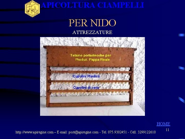 APICOLTURA CIAMPELLI PER NIDO ATTREZZATURE HOME http: //www. apiregine. com – E-mail: post@apiregine. com APICOLTURA CIAMPELLI PER NIDO ATTREZZATURE HOME http: //www. apiregine. com – E-mail: post@apiregine. com