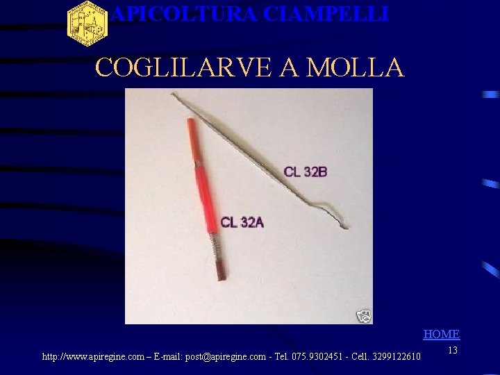 APICOLTURA CIAMPELLI COGLILARVE A MOLLA HOME http: //www. apiregine. com – E-mail: post@apiregine. com APICOLTURA CIAMPELLI COGLILARVE A MOLLA HOME http: //www. apiregine. com – E-mail: post@apiregine. com