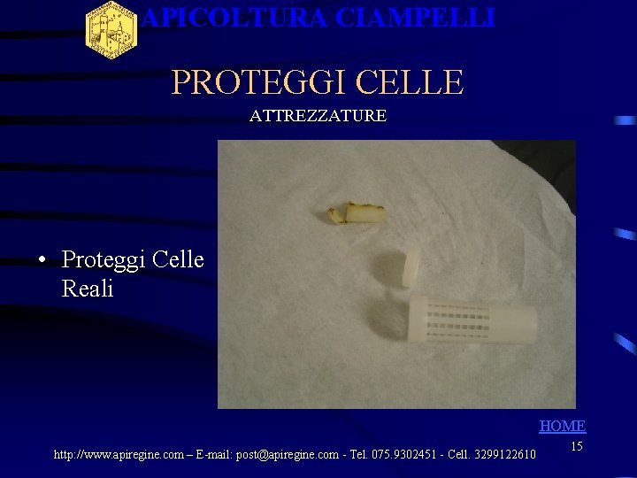 APICOLTURA CIAMPELLI PROTEGGI CELLE ATTREZZATURE • Proteggi Celle Reali HOME http: //www. apiregine. com APICOLTURA CIAMPELLI PROTEGGI CELLE ATTREZZATURE • Proteggi Celle Reali HOME http: //www. apiregine. com
