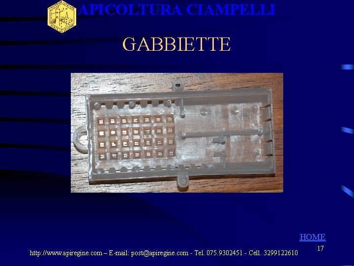 APICOLTURA CIAMPELLI GABBIETTE HOME http: //www. apiregine. com – E-mail: post@apiregine. com - Tel. APICOLTURA CIAMPELLI GABBIETTE HOME http: //www. apiregine. com – E-mail: post@apiregine. com - Tel.