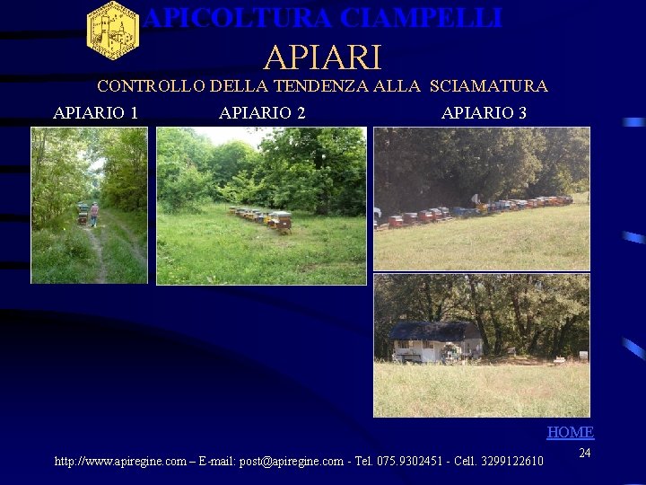 APICOLTURA CIAMPELLI APIARI CONTROLLO DELLA TENDENZA ALLA SCIAMATURA APIARIO 1 APIARIO 2 APIARIO 3 APICOLTURA CIAMPELLI APIARI CONTROLLO DELLA TENDENZA ALLA SCIAMATURA APIARIO 1 APIARIO 2 APIARIO 3